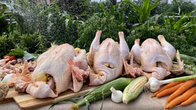 Vágás  és feldolgozás